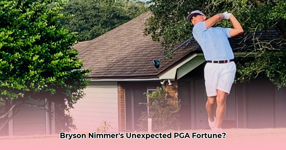 bryson-nimmer-net-worth